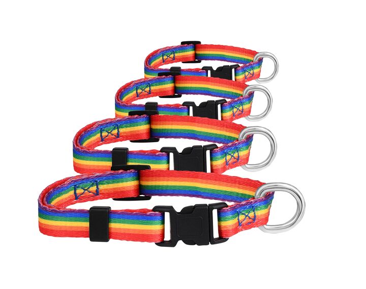 25 Pack Rainbow Striped Extra Large Dog/Cat/Pet Collars